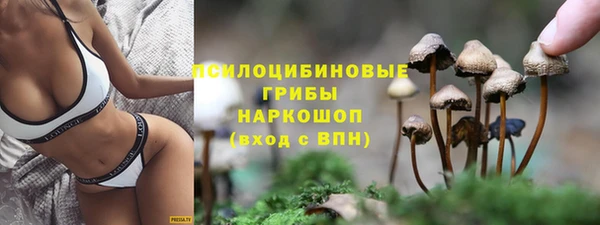 мдма Новозыбков