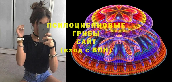 ешки Новодвинск