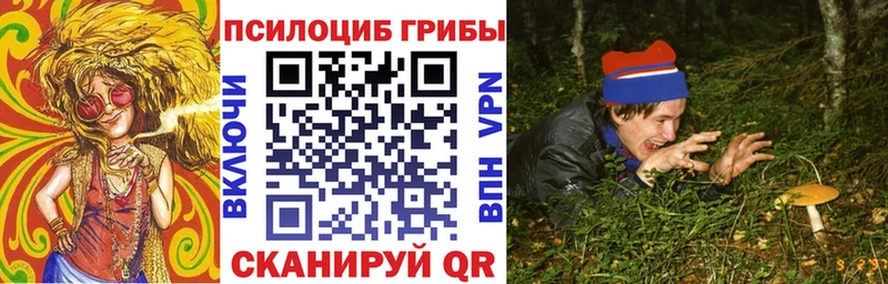 Псилоцибиновые грибы Psilocybine cubensis  цены   Лукоянов 